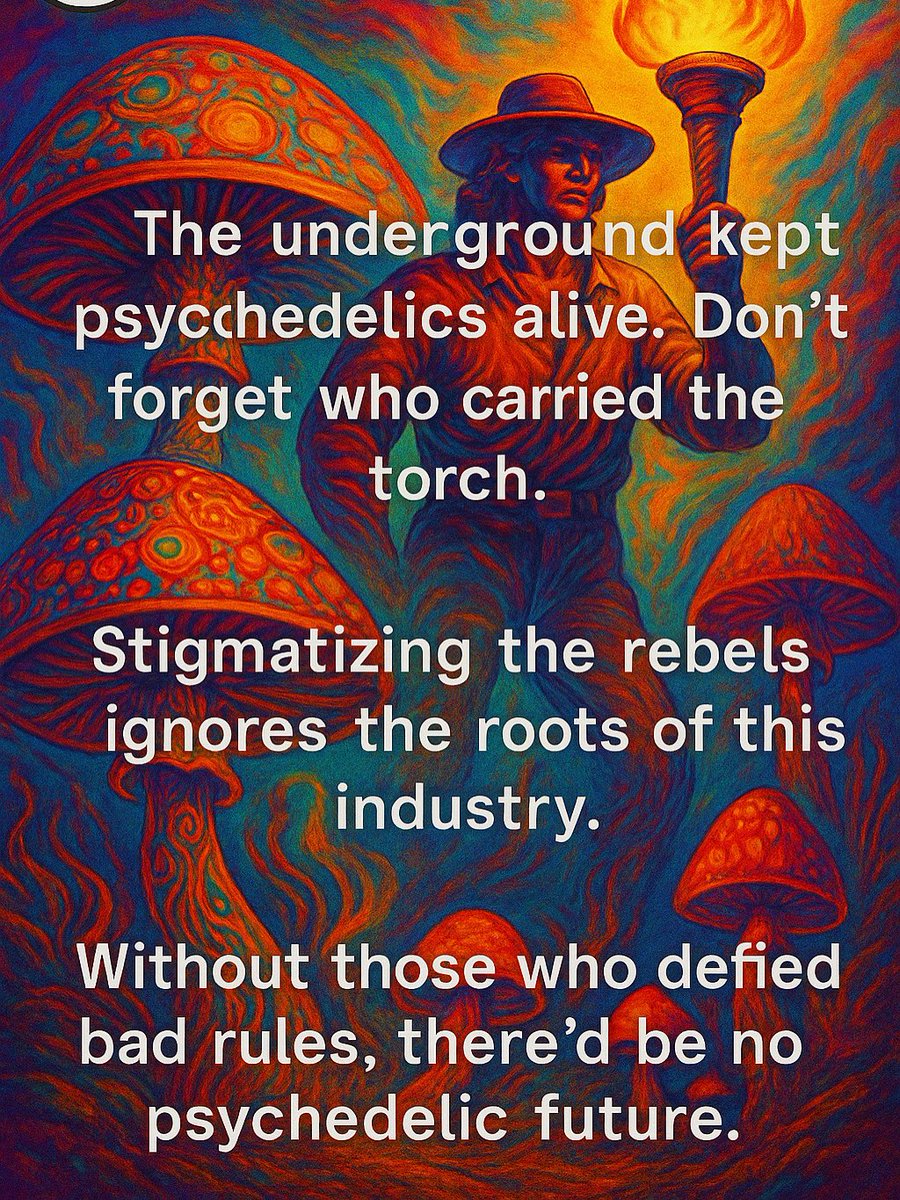 Mushmore Mushmore (@mmushmore) on Twitter photo 