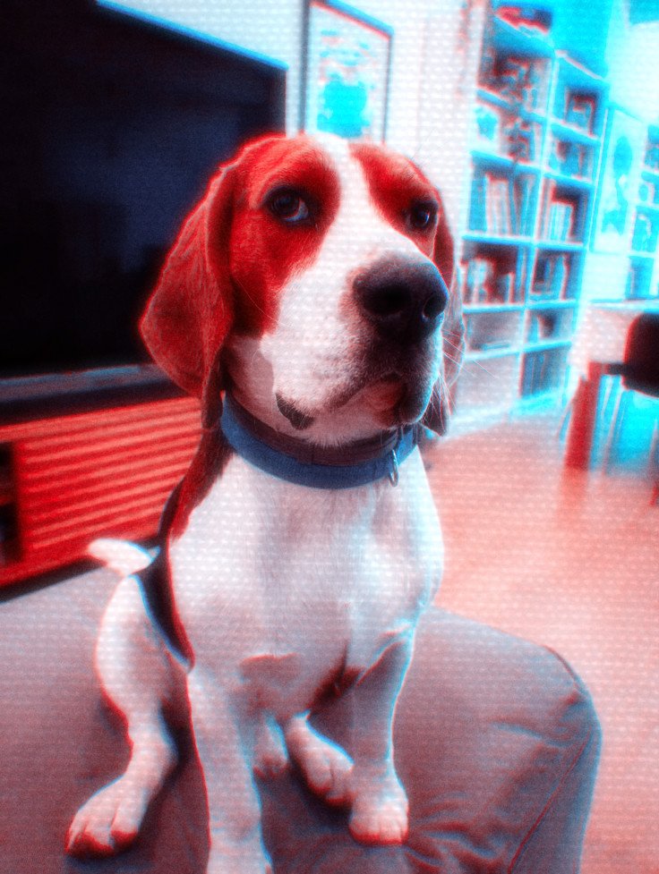 ⠀⠀⠀
ㅤ
        David when he hears me 
        calling Alex a "good boy" 
        and not him.

⠀⠀⠀