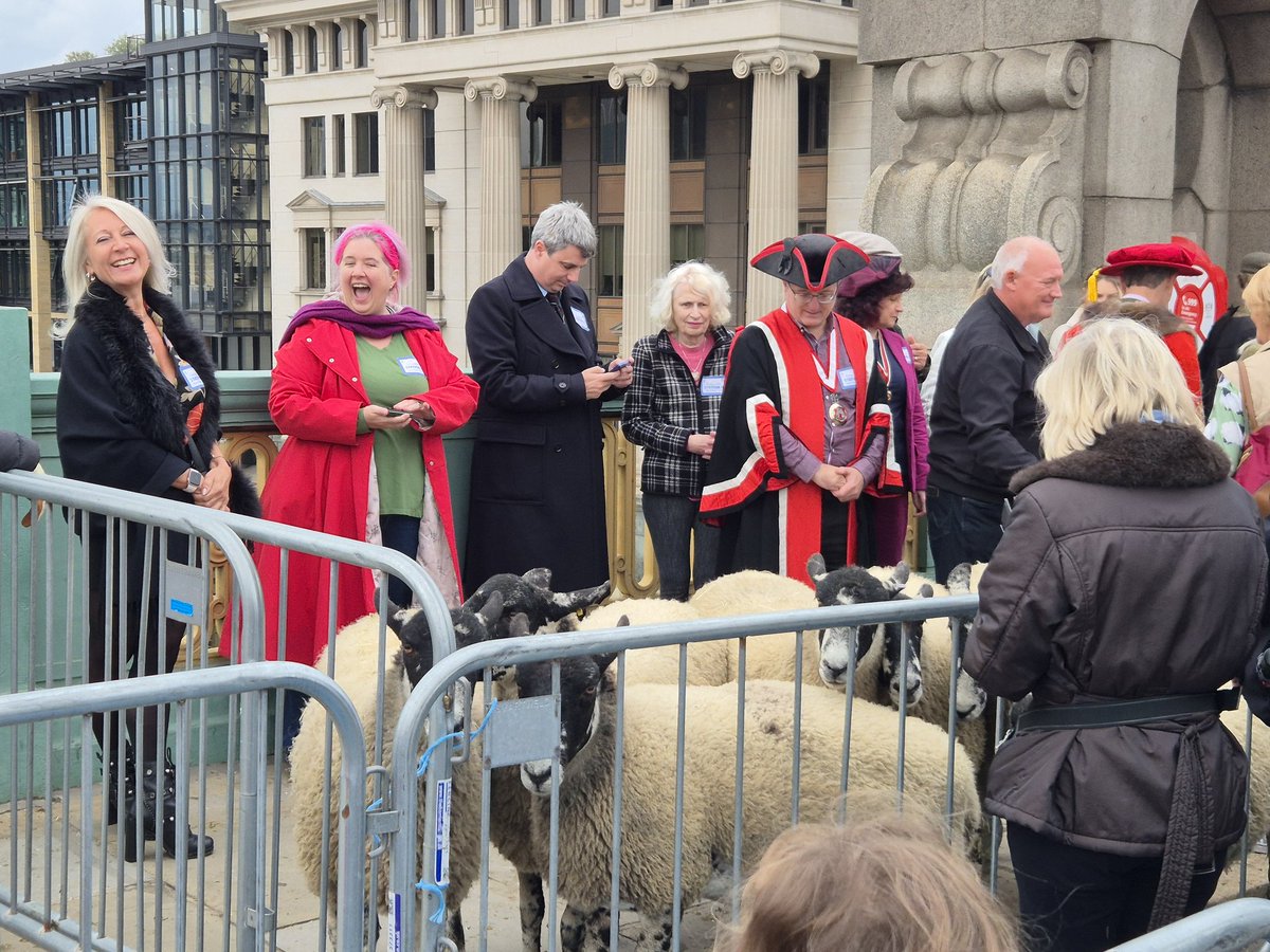 GeraldM64883070's tweet photo. This year's Sheep Drive took place on Southwark Bridge. Hosted by The Worshipful Company of Woolmen #sheepdrive @LMAppeal #southwarkbridge #lovelondon https://t.co/919PEQ7dfy