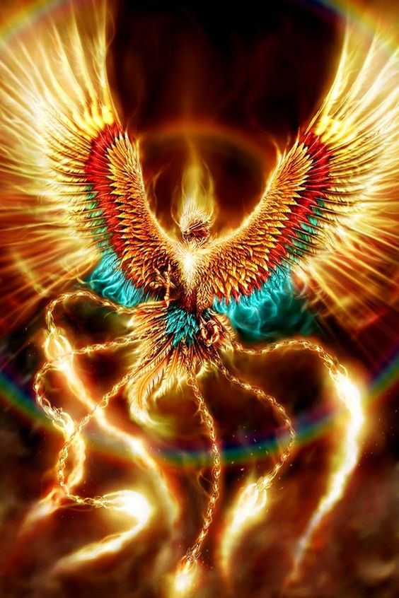 POYON69 (@moises07788513) on Twitter photo 