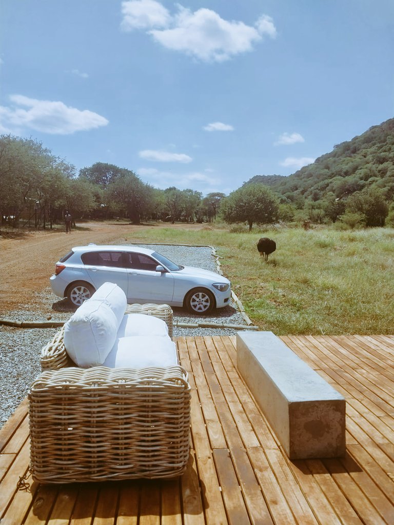 777MZI's tweet photo. #BushGetaway https://t.co/wpjaUKbrjz