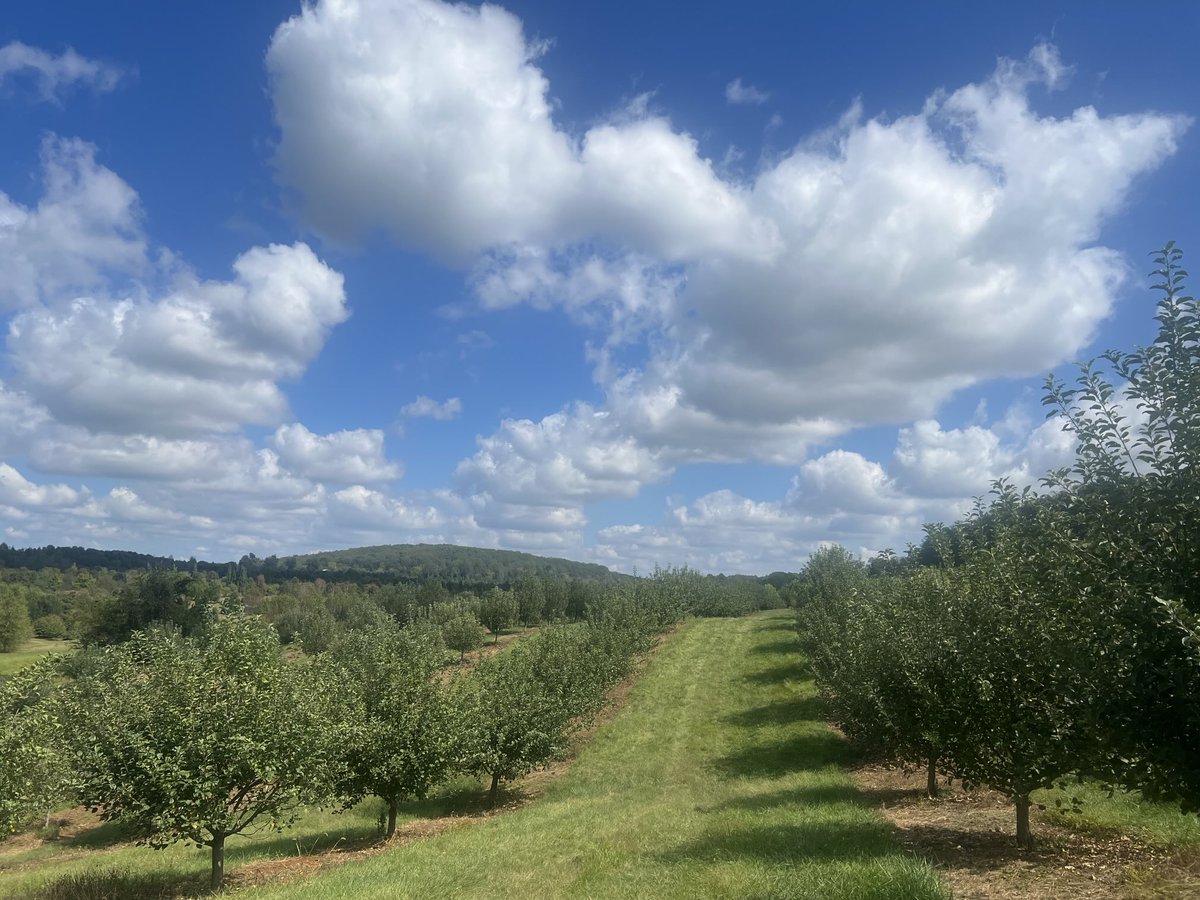 RobEngstrom's tweet image. .⁦@MarketatGrelen⁩