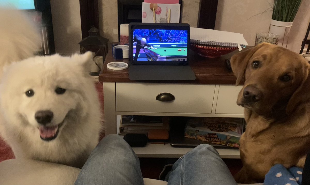 Clive_Stringer's tweet image. Lottie pleased as McGill goes 6-5 up. Murphy fan Bug not impressed #BritishOpen