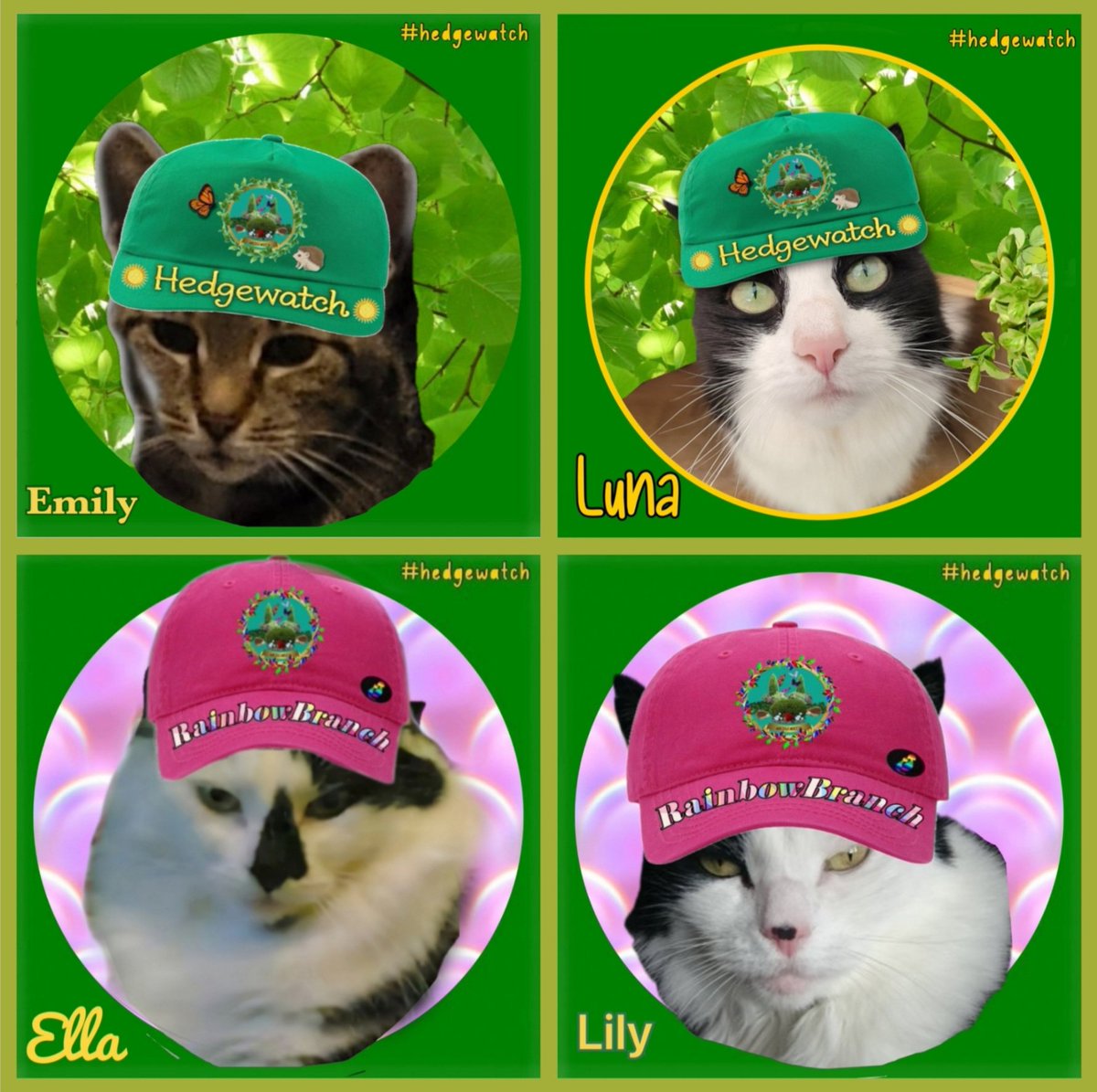 EllaLilyAJ's tweet photo. @landscape28 Wowsers Chef Anton
Now we know why you're renowned the world over for your creations and innovations - great job 🫠🥰😵💫🥳🤩
We will enjoy these fabmewlous drinkies and your charming company in equal measure 😽😽
☄️Emily&Luna☄️
#Hedgewatch #SuperSeniorCatsClub #ChefAnton https://t.co/9wodpadcAI