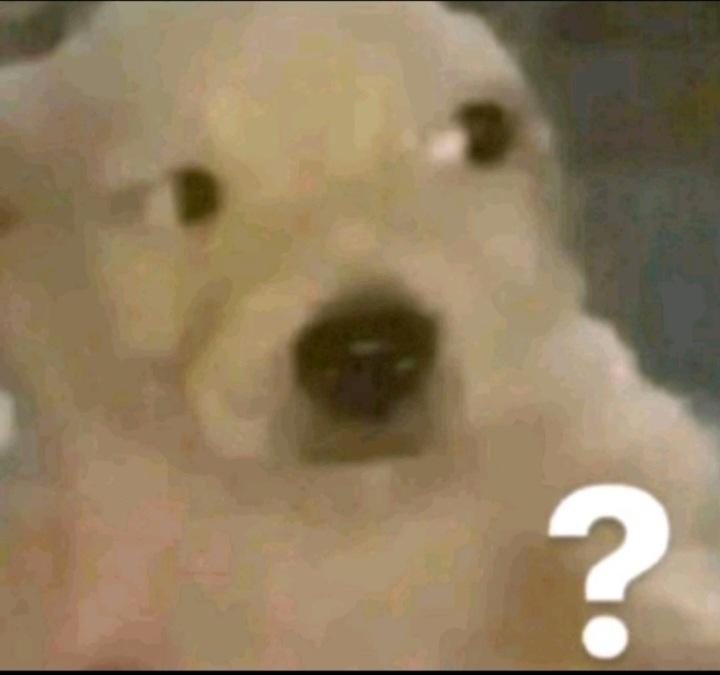 Alex♥️알렉산더 tweet media