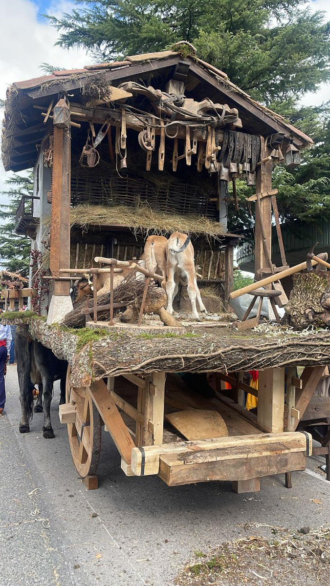 Viva Campoo y los campurriamos que hacen grande a Reinosa
