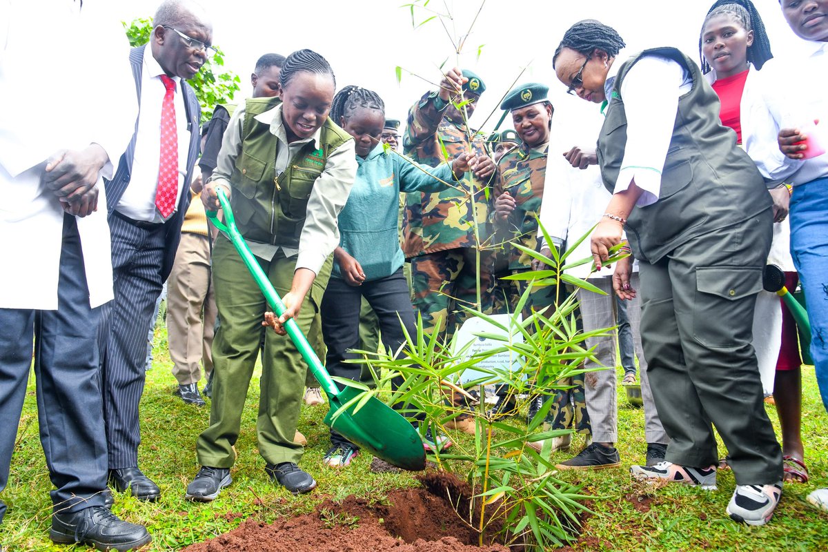 UOKGCSA's tweet photo. World Bamboo day https://t.co/esAJBZcrTE