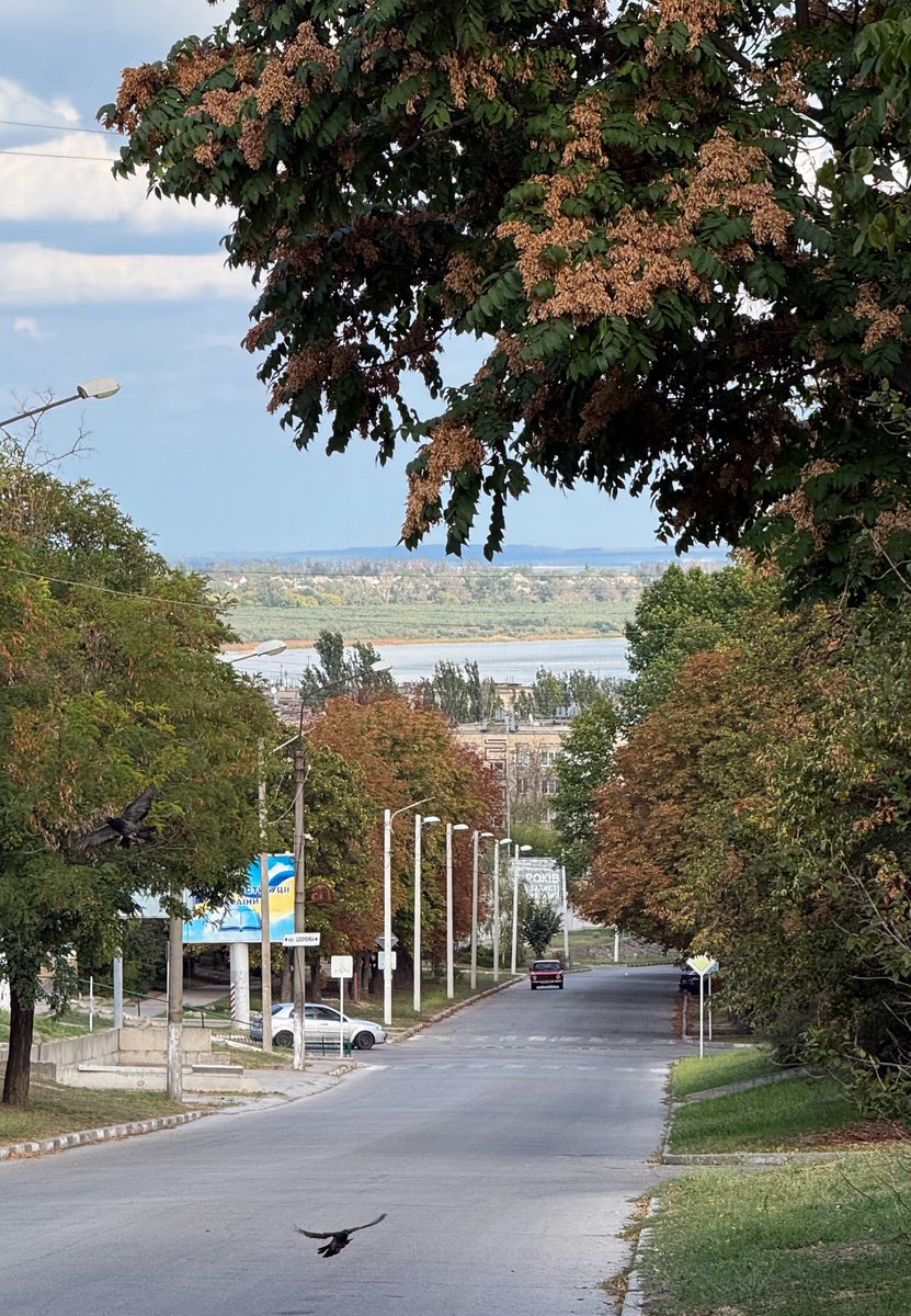 Nikopolgram's tweet image. Nikopol Day. 1639.