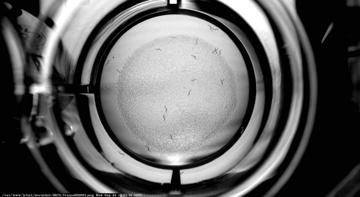 Metformin Ventures tweet media