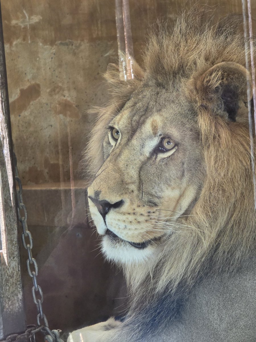 Brianne Miller tweet media