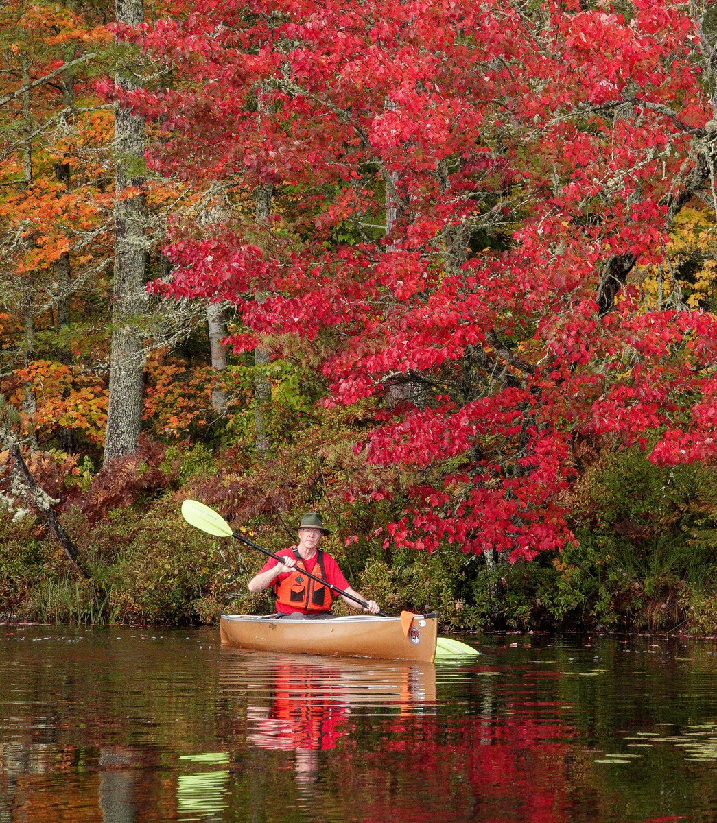 Vermont Paddle Pups tweet media