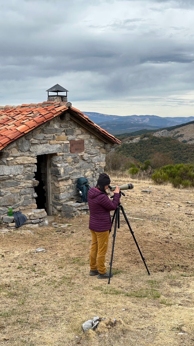 Cuando los planes salen bien 🥾⛰️🍁💫🍂
#montañapalentina #desconectarparaconectar