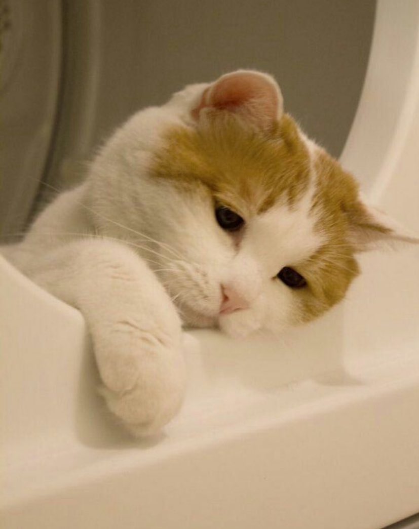 birini özlediğinde ama hiç bir şey yapamadığında