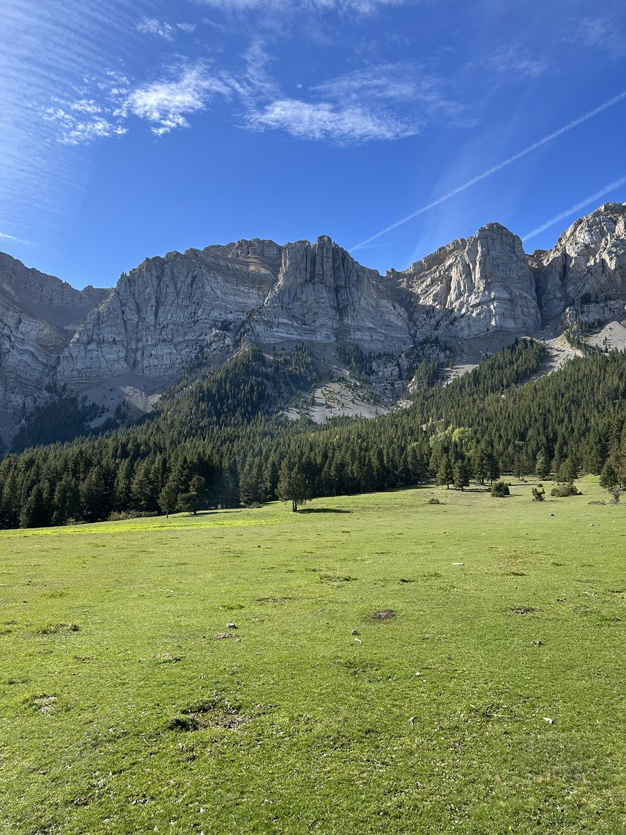 _piruleta_'s tweet photo. Caminant cap al pis amb un somriure a la cara, les cames cansades però l’ànima carregada d’energia.
Ha estat un bon cap de setmana! ❤️‍🩹 https://t.co/ZkHgl4vfKP