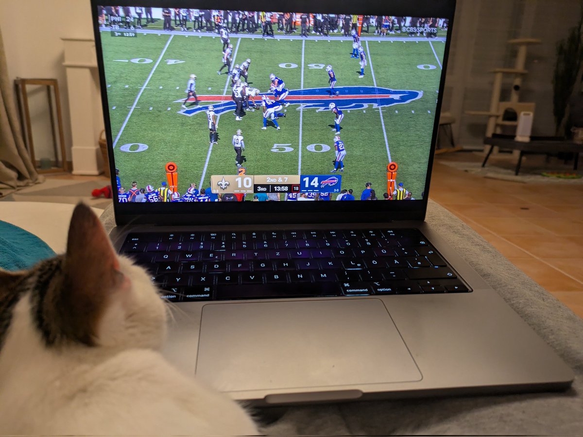 ManuelWenner's tweet photo. Young cat but a buffalo at heart 🐱💙❤️ Let's go Buffalo 🦬 #BillsMafia #letsgobuffalo https://t.co/J9ir8eP3ak