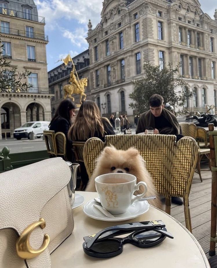 derek guy tweet media