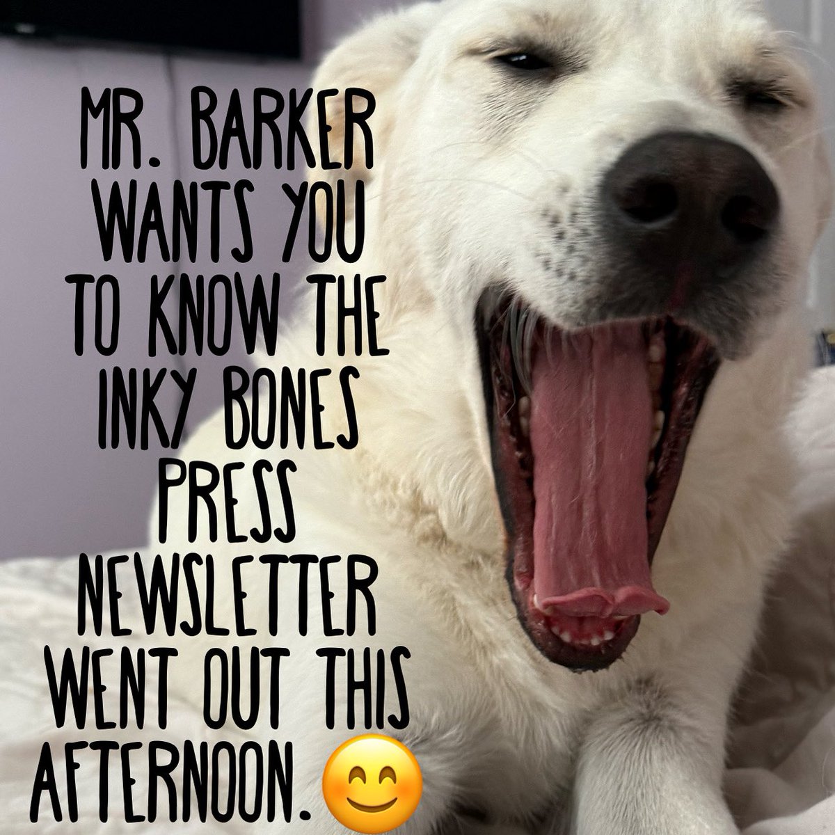 Exciting info &amp; lots of book fr33bies in the 9/28 newsletter AND an early heads up for subscribers—plus ALL subs are eligible to receive 1 of 3 Liminal Spaces e-books in October by Deborah Sheldon! So much good stuff! Enjoy! 📚🖤🎉

Need to sign up? 
subscribepage.io/sZmPPF