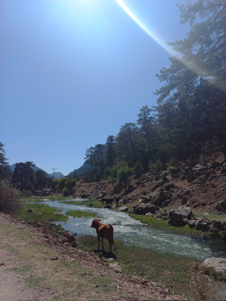 Burası İsviçre görünümlü Isparta ❤️📸😍