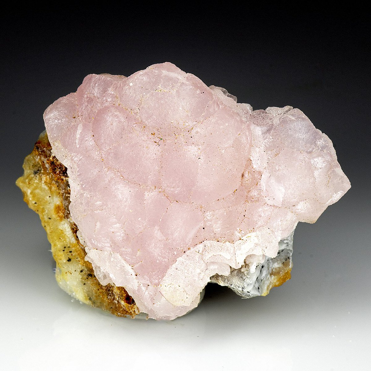 geologyBits's tweet photo. 🟥 Smithsonite
is a carbonate mineral with the chemical formula ZnCO₃, typically found in the oxidized zones of zinc ore deposits.

❤️ 🔁 #Smithsonite #Mineralogy                                                                                                                             

▶️ It often forms botryoidal, stalactitic, or granular aggregates and displays a range of colors, including blue, green, pink, yellow, and white, due to impurities like copper, cobalt, or iron.

Its luster is vitreous to pearly, and it has a Mohs hardness of 4-4.5, making it relatively soft. 

Smithsonite is a secondary mineral, often associated with minerals like hemimorphite, cerussite, and malachite, and is valued as a zinc ore and a collector's gemstone due to its vibrant colors and translucent appearance.