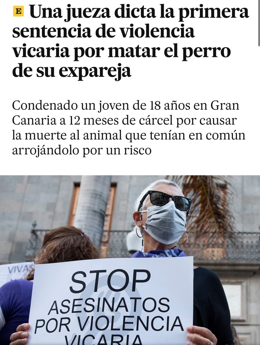 En Las Palmas de Gran Canaria, España, un joven de 18 años amenazó a su pareja por teléfono: “voy a matar al perro y luego me mato yo”. Cuando ella llegó al risco donde él la esperaba, le advirtió: “no te acerques o tiro al perro y me mato”. Acto seguido lanzó al cachorro de