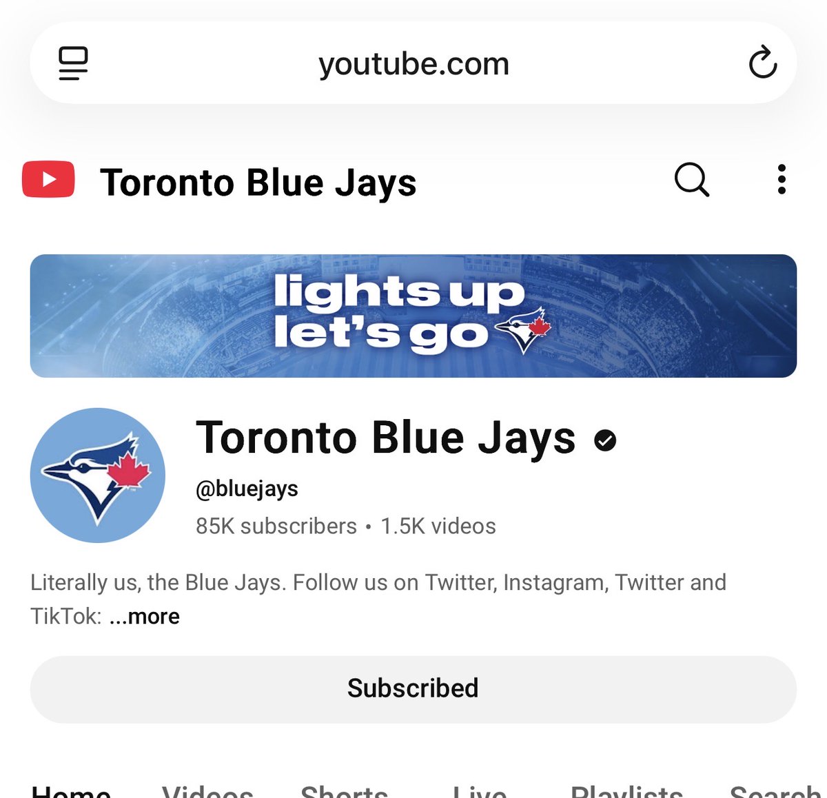 Allyalderman's tweet photo. @BlueJays @ShaneBieber19 Let’s gooo!!! https://t.co/Dr4M0cn0PH