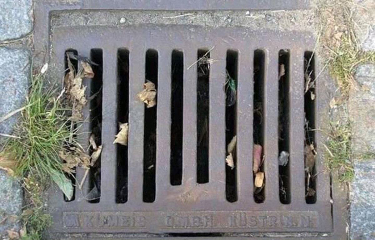 Whenever i see this on road, i hold my phone tightly 😂😂