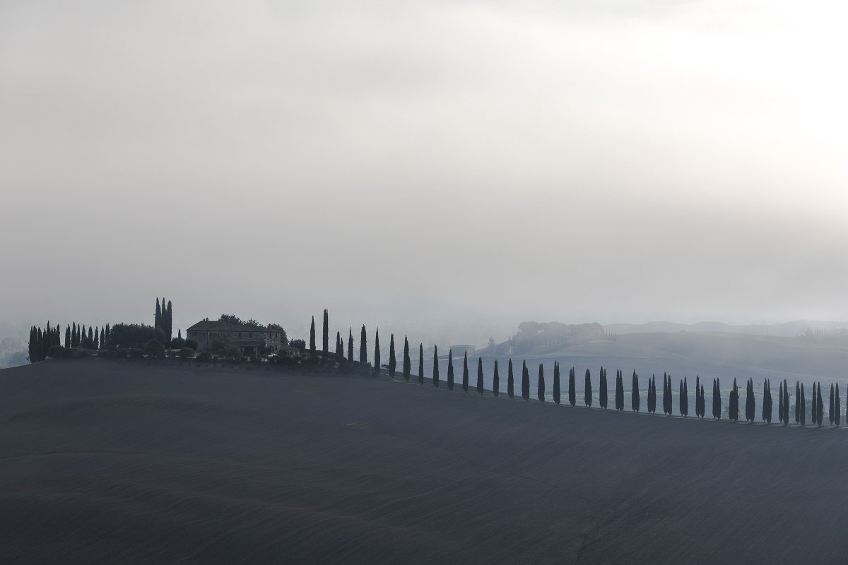 Emmanuel Nataf tweet media