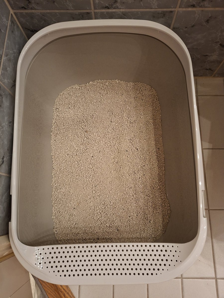 Frauchen hat den ganzen Tag in der Küche rumgewühlt und dann  ganz viele Sachen zu einem Wohltätigkeitsverein gebracht. Auf dem Rückweg hat sie mir ein neues Katzenklo gekauft-endlich in Seniorengrösse! Schon 2× getestet. Ja, hier ist auch sonntags das Warenhaus geöffnet. 
 GuN8!