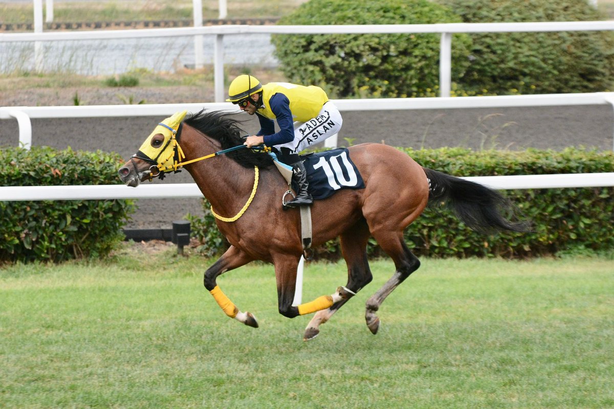 aslan__adem's tweet photo. LAST MOMENT🥇🏇 https://t.co/q3ykxuzL9p