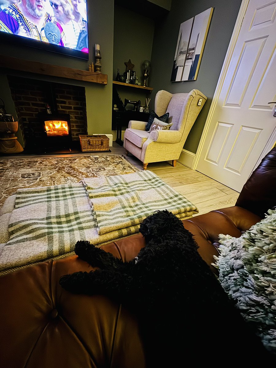 Well now I has been baffffed
RUDE….. at least Hoomam has lit the fire 🔥 #toasty 
#vera🐶 
#DogsOnX
#TwinsiesOnTwitter