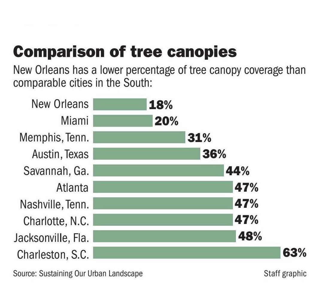 Tree Canopy NOLA tweet media