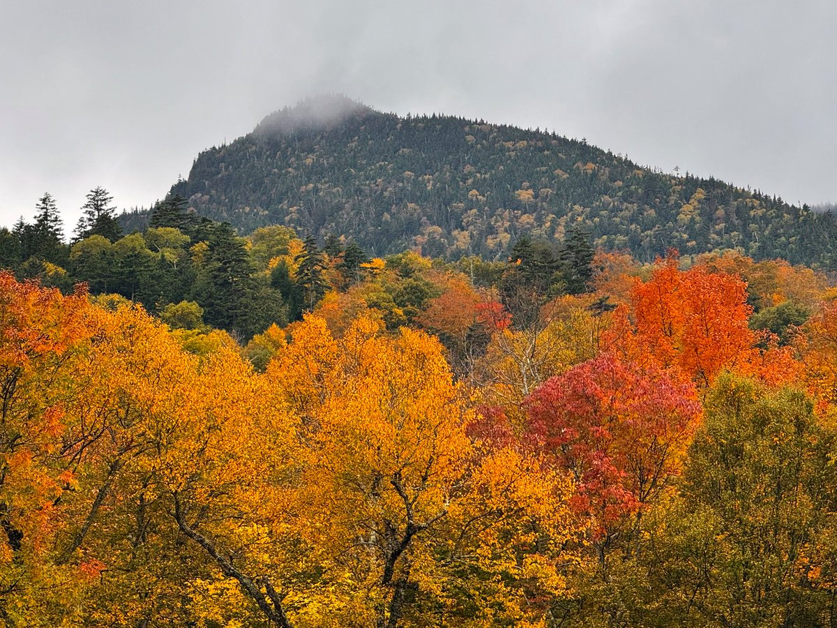 TommyHornWX1's tweet photo. Peak foliage has arrived in Keene Valley, NY 🍁
@TylerJankoski @PeteWeatherBeat @MikeMasco @MattHolderman1 @DurkinWeather @SCweather_wx @spann @ExploreFall @FoliageReport @TimBuckleyWX @JordanHallWX @WasilenkoAlex @EricSnitilWx @WxmanFranz @Allan_Weather @forecaster25 @CBS6Steve https://t.co/NTKNw9zE60