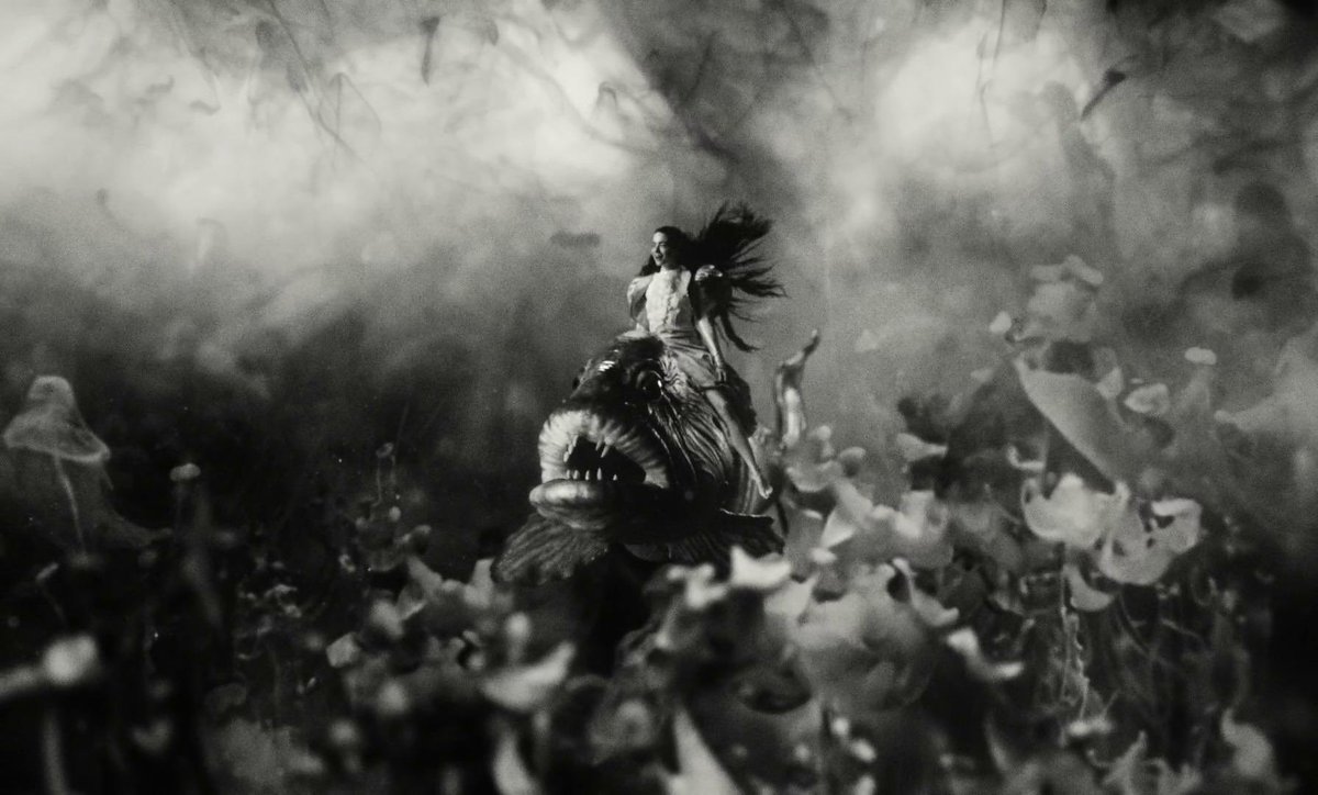 One Perfect Scene tweet media