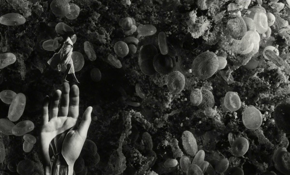 One Perfect Scene tweet media