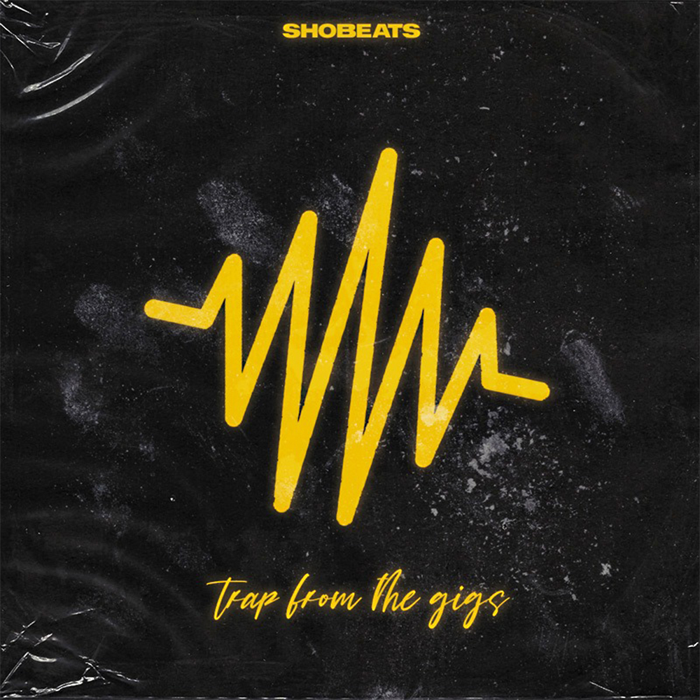 Bring Toronto vibes into your studio with "Trap From The Gigs"! 🔥
5 Construction Kits w/ WAV, MIDI &amp; One-Shot Drums inspired by Drake, Future, Meek Mill &amp; more. 100% royalty-free.
👉 beats24-7.com/product/trap-f…

#trapbeats #samplepack #draketypebeat #beatmaker #producerlife