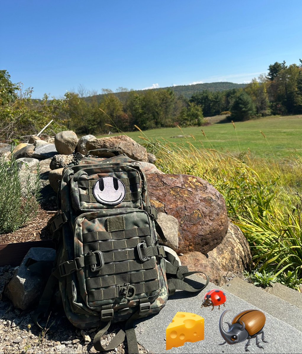 5 miles rucking 55lbs while simultaneously
hunting beetles with cheese 🧀 🪲 🐞