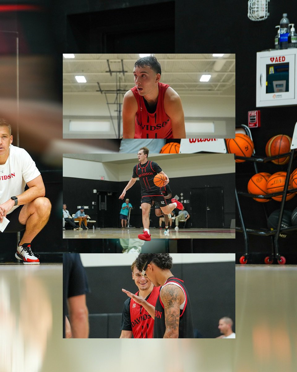 Davidson Basketball tweet media