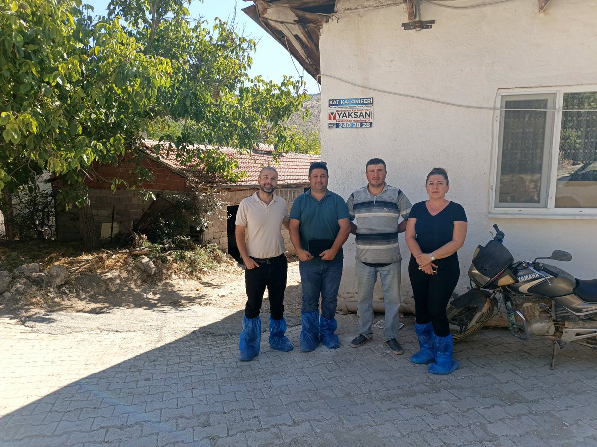 Süt Sığırcılığı İşletmelerinin Belgelendirilmesi Projesi devam ediyor. Oluşturulan üniversite-kamu-sektör modeliyle alet ekipman destekleri sağlanıyor, işletmeler akredita sertifika sahibi oluyor ve verimlilik artışları izleniyor. <a href="/dalgarh/">Prof. Dr. Hüseyin DALGAR</a> #makühayvancılık instagram.com/p/DPKC6nbiPNO/…