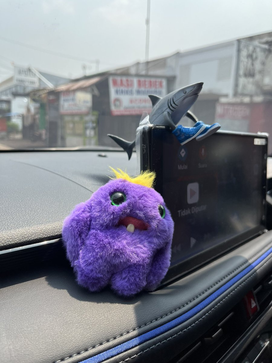 mpuutriii's tweet photo. anak bulu baru🧸🦈? https://t.co/VgaTdrxZJO