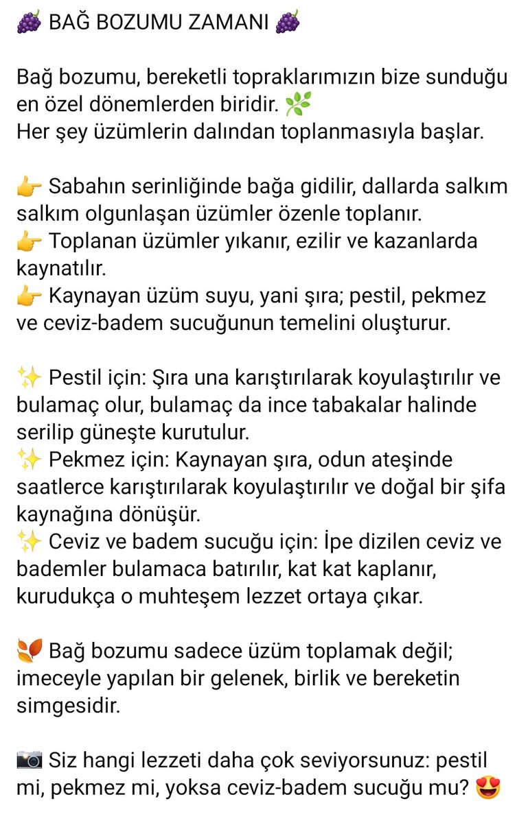 mzekiefe's tweet photo. 🍇 Bağ bozumu zamanı!
Üzümler toplanır, şıra kaynar…

👉 Şıradan;
✨ Güneşte kuruyan pestil,
✨ Odun ateşinde kaynayan pekmez,
✨ Kat kat kaplanan ceviz-badem sucuğu yapılır.

Bağ bozumu; bereket, imece ve birliktir. 🌿✨

Siz hangisini daha çok seviyorsunuz? 😍 https://t.co/Fxln8Ey1M0