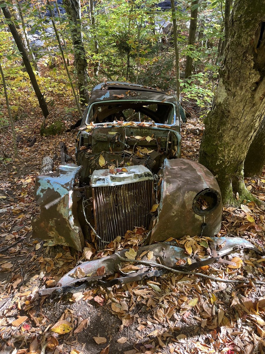 FredPlanteRDS's tweet photo. Twitter j’ai besoin de vous. Je viens de voir cette vieille auto abandonnée dans la forêt. 
Une idée du modèle? Et de l’année? 😀 https://t.co/1NAWSnXYZi