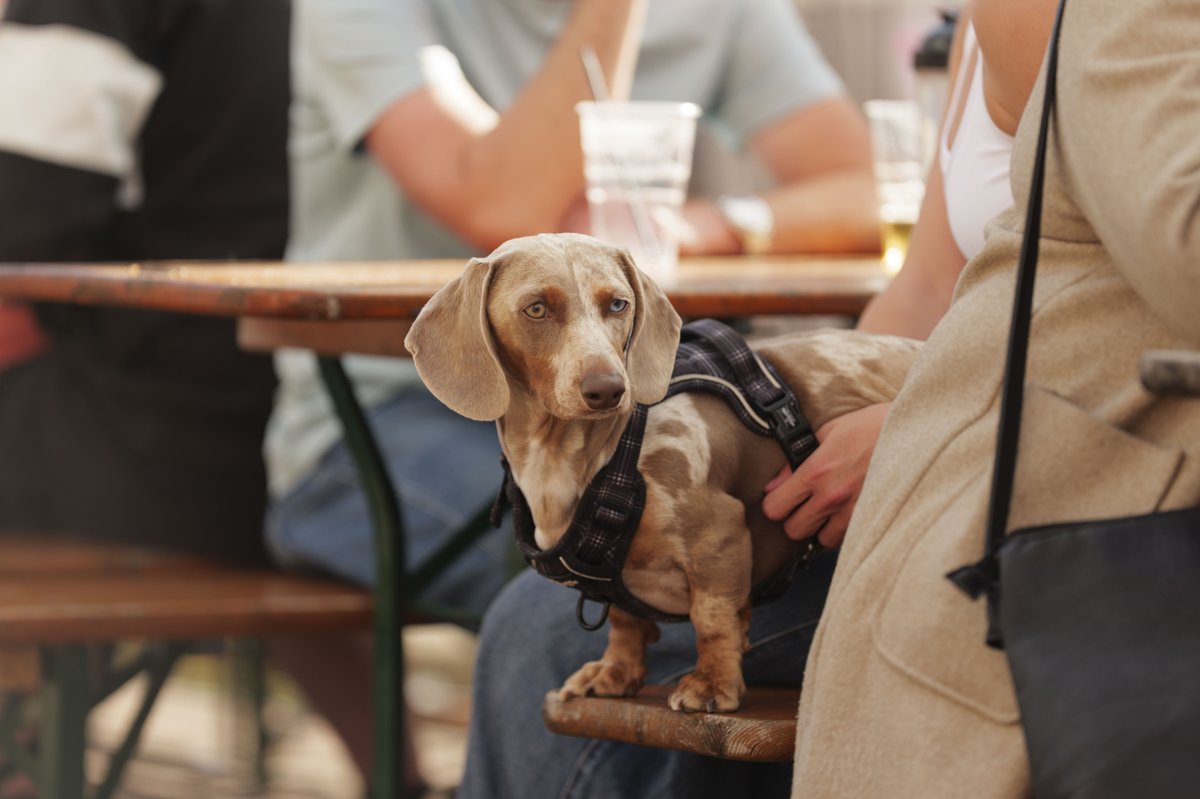 Banks Homes Riverside tweet media