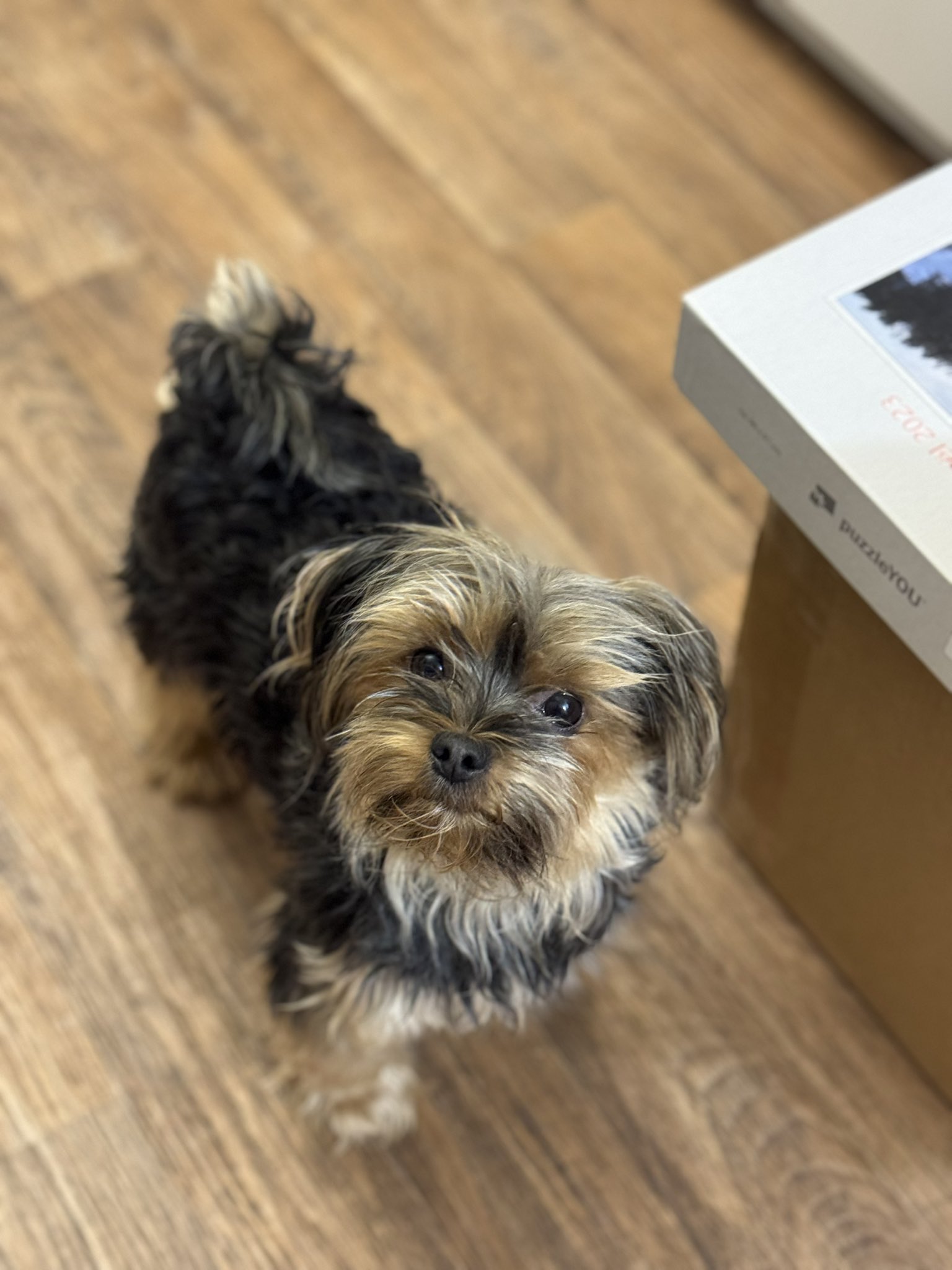 SOLD OUT ☆パリの雑貨とファッション  とのまりこ SOLD OUT ☆パリの雑貨とファッション とのまりこ