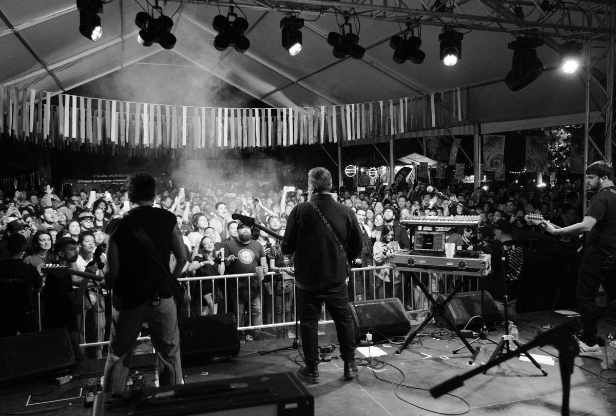 Tomates Fritos tweet media