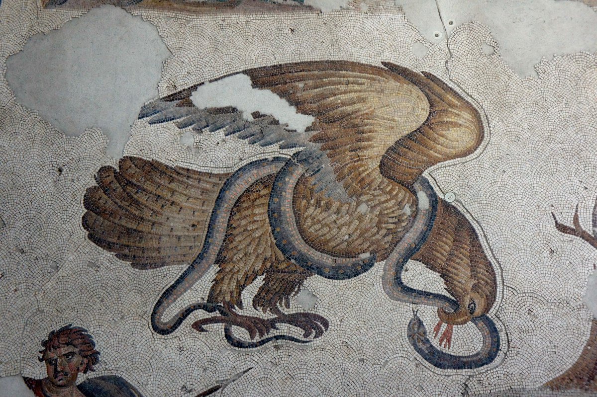 A Byzantine mosaic from the Great Palace of Constantinople.

Εἷς μυρίους ὄρνιθας ἀετὸς σοβεῖ,
λαῶν τε δειλῶν πλῆθος εὖ τραφεὶς ἀvήp.
-
One eagle scares away ten thousand birds,
and one well-bred man a vast and cowardly multitude.
Sositheus