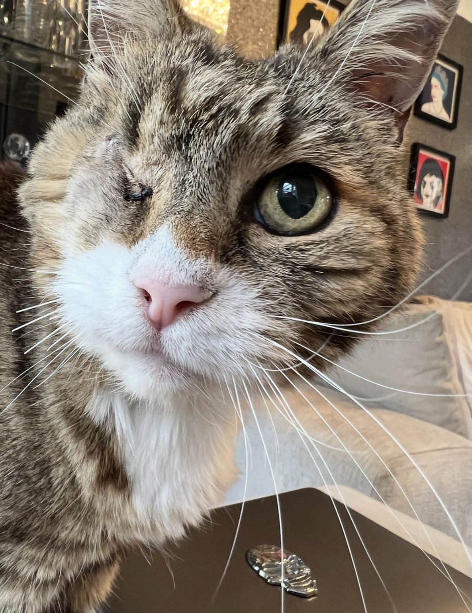 Ricky Wilde 🎶🇺🇦 tweet media