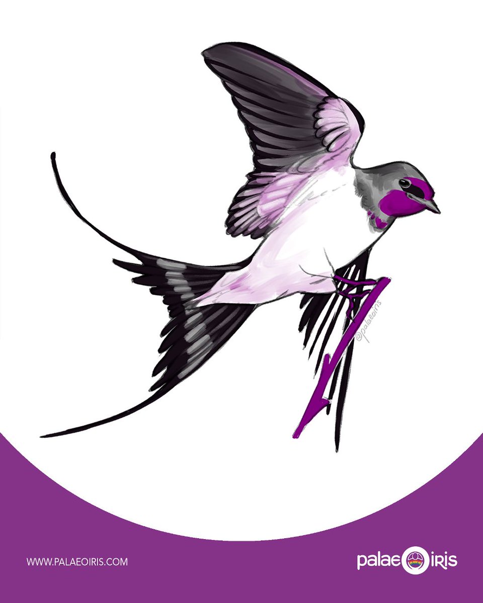 🏳️‍🌈🏳️‍⚧️ Palaeoiris🦕 Black Trans Lives Matter tweet media