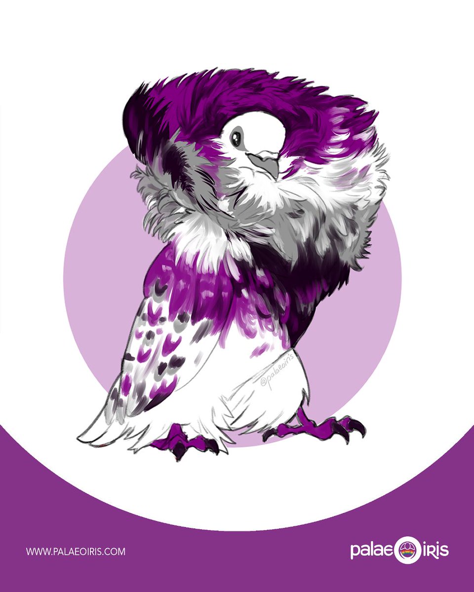 🏳️‍🌈🏳️‍⚧️ Palaeoiris🦕 Black Trans Lives Matter tweet media