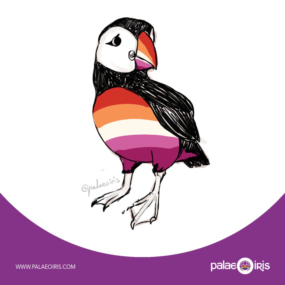 🏳️‍🌈🏳️‍⚧️ Palaeoiris🦕 Black Trans Lives Matter tweet media