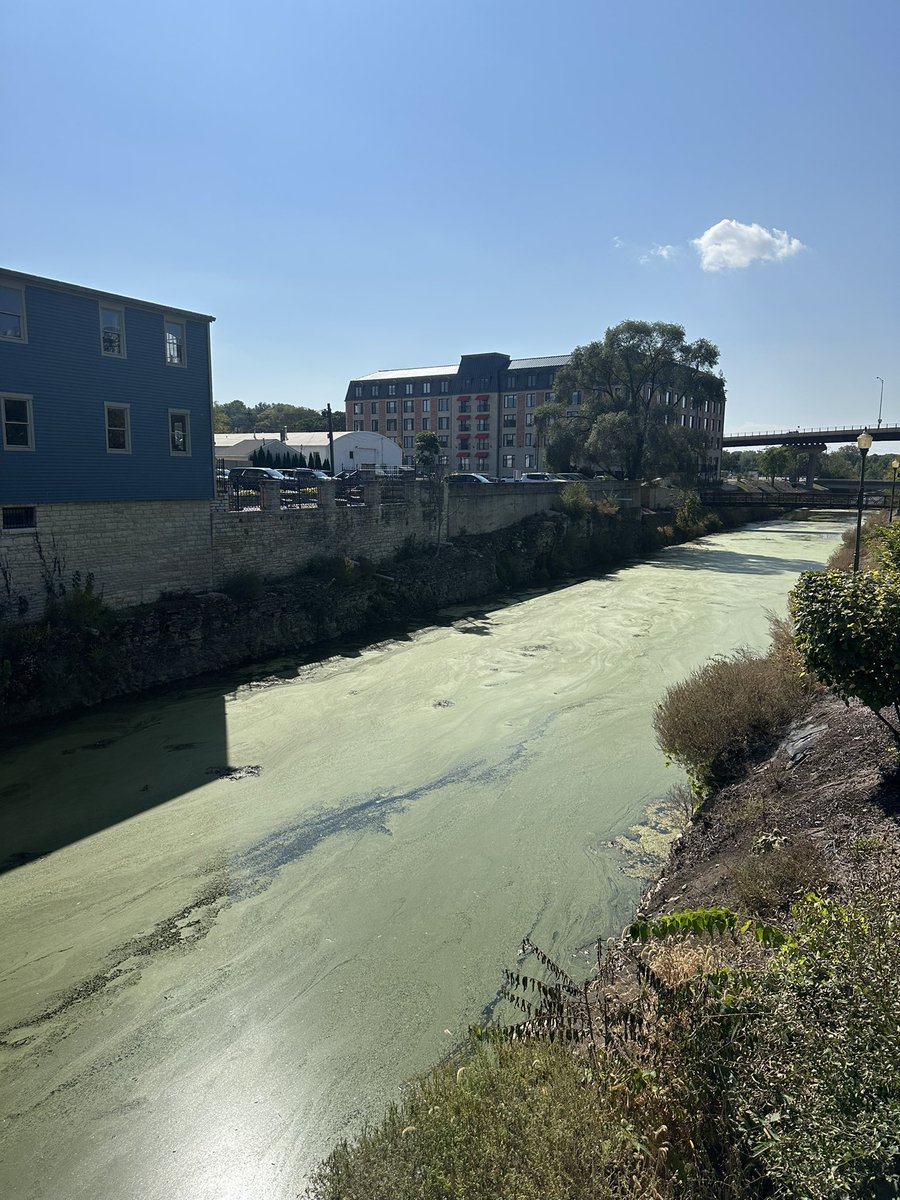 siegels89's tweet photo. @VillageofLemont what are the plans to clean up the I&amp;M canal downtown Lemont? There have been so many improvements downtown that it would appear a river cleanup adds tremendous value for residents and visitors alike. @LemontDowntown https://t.co/tUZJiIHoVd